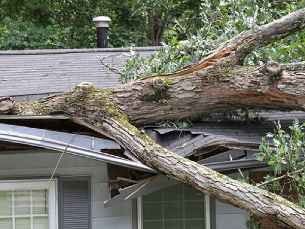Storm-Damage-Insurance-Claims-copy-compressor.jpg