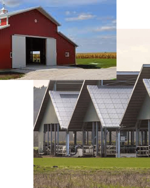 agriculturenew.png