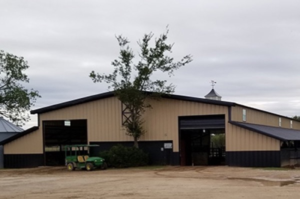 steel-buildings.jpg
